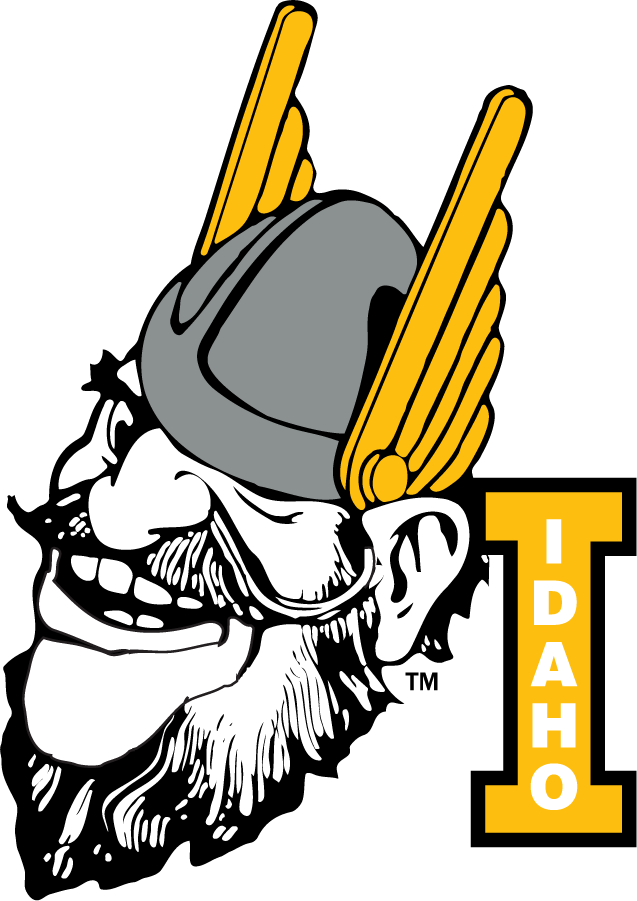 Idaho Vandals 2019-Pres Secondary Logo v4 DIY iron on transfer (heat transfer)
